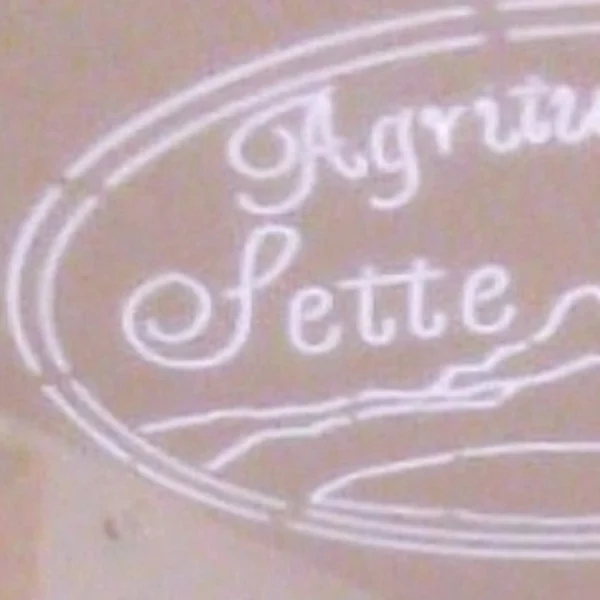 Barrique di arredo originale e personalizzabile con proiezione logo Plafon - immagine 19