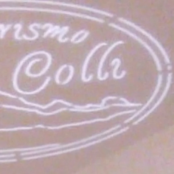 Barrique di arredo originale e personalizzabile con proiezione logo Plafon - immagine 20
