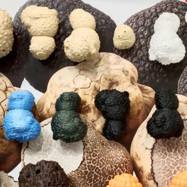Dummies e Tartufi Finti con Design Realistico - immagine 7