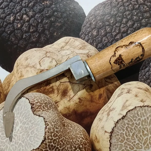 Attrezzi Professionali per la Ricerca del Tartufo | Zappini Artigianali - immagine 14