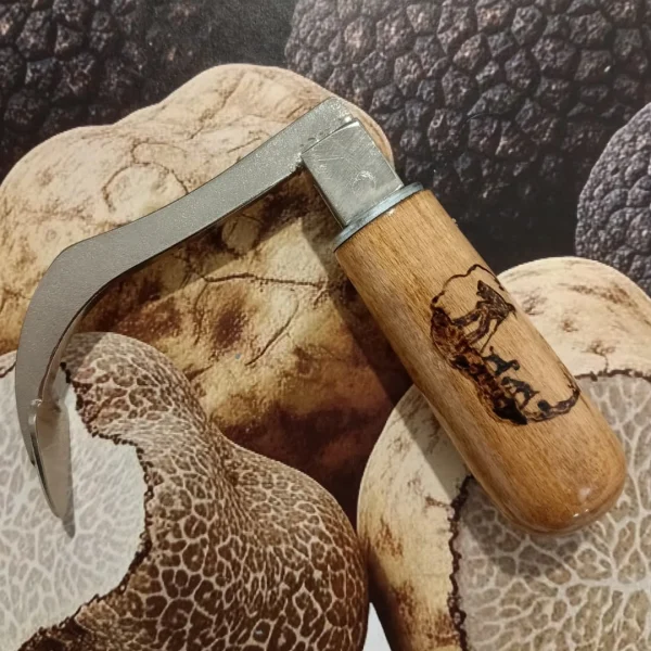 Attrezzi Professionali per la Ricerca del Tartufo | Zappini Artigianali - immagine 13